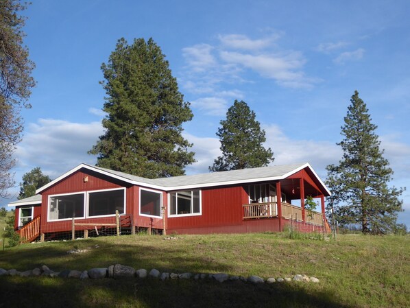 Exteriör