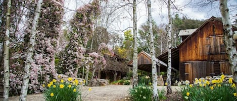 Jardines del alojamiento