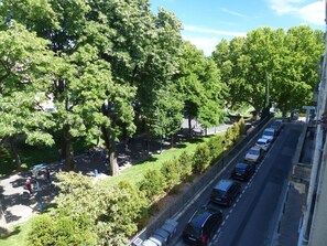 View from living room window looking south.
