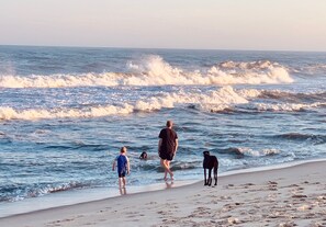 Strand