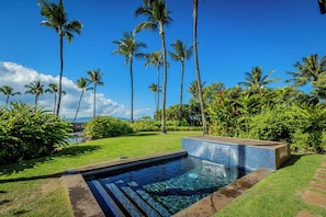 Take a dip in your own private plunge pool!