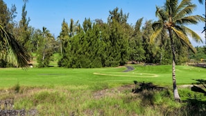 Located on the Waikoloa Beach Course with its lanai overlooking the 8th hole