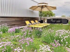 Roof garden in springtime 