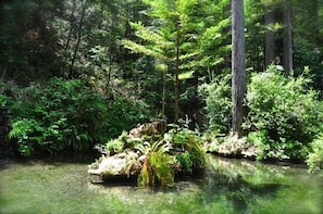 Trout circle decoy island. 