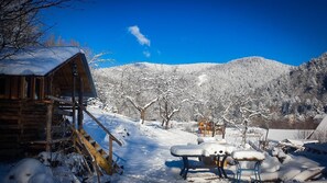 Petit chalet dans le jardin