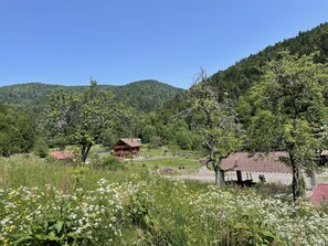 jardin et vue sur la montagne