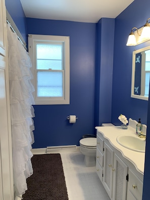 Bathroom with large vanity and shower with wand.