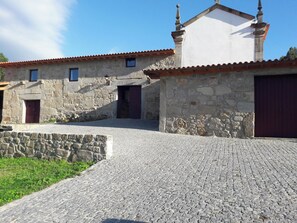 Back view