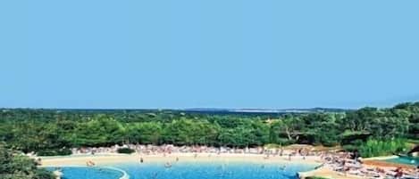 bassin aquatique