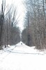 The Tuscobia Trail is the longest rail trail in the state of Wisconsin-74 mile