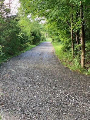 Driveway down to barn 