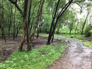 Property grounds