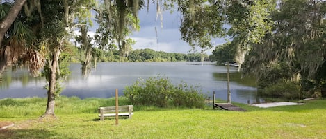 Peaceful Lake view