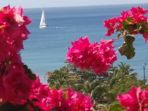 Jolie vue sur mer