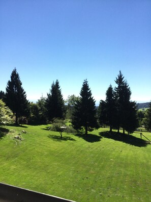 Ausblick vom Balkon bis
zu den Alpen bei schöner Sicht