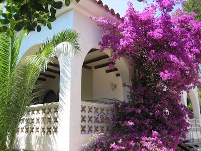 Villa in an  excl. location, elevated on the 1st sea line, 300m from beach