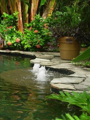 Fountains at lagoon pool with lush landscaping