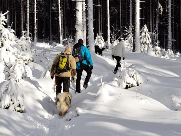 Snow and ski sports