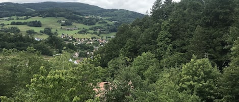 Vu de la terrasse Gîte du Rocher