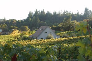 Nestled in the middle of 15 acres of Cabernet Sauvignon vineyard, panoramic view