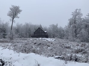 Ice Storm Dec. 2019