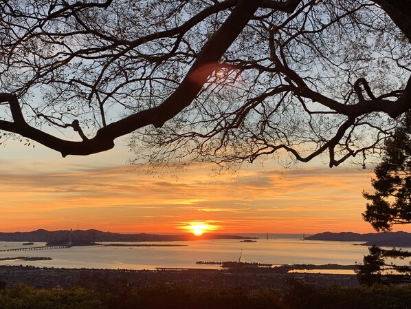 EVERY room is spacious & has this panoramic stunning view of San Francisco Bay