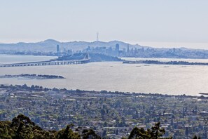 A zoomed-in image of San Francisco Bay, City, Islands, & Bay Bridge