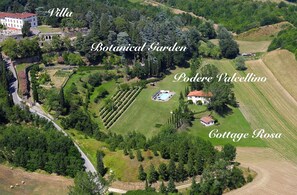 Vegetation, Plant, Property, Landscape, Tree, Land Lot, Aerial Photography, Residential Area, Bird'S-Eye View, Rural Area