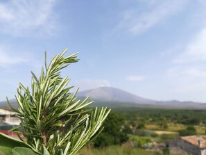 施設の敷地