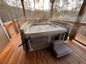 Hot tub with easy lift hard top and built in steps