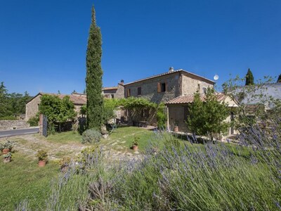 Picture of villa