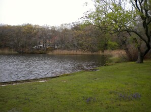 Lakefront