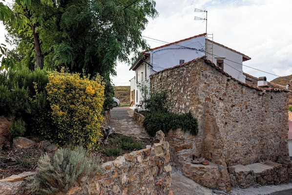 Front view