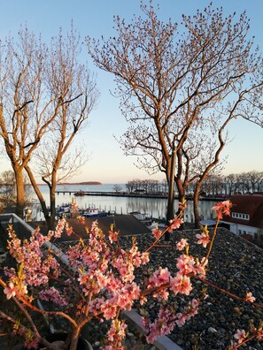 Boendeområde