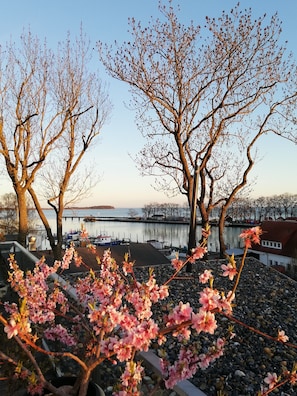 Boendeområde