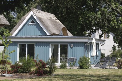  NEU Reetgedecktes Ferienhaus**** auf dem Darß unweit vom Strand