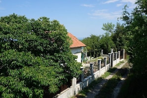 View from the terrace