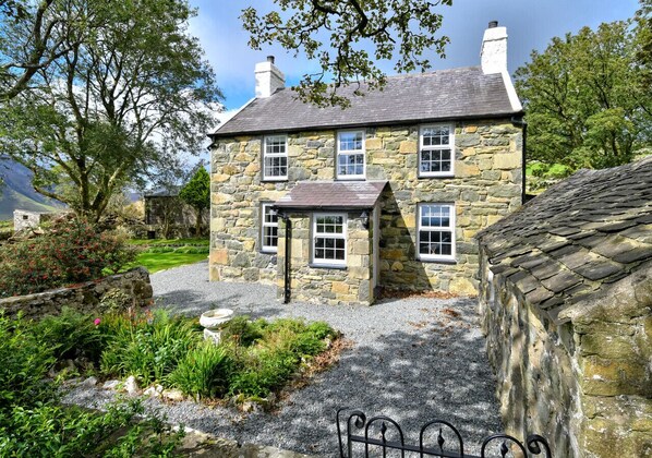 Maes y Llan