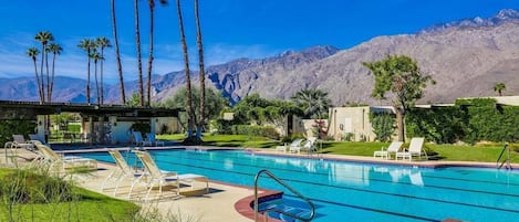 Huge, heated lap-pool with unparalleled views of the San Jacinto Mountains.