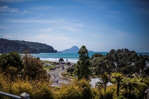 View from the house