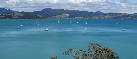 Coromandel Harbour