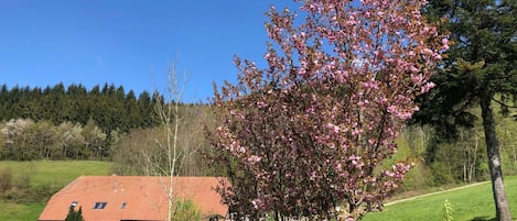 Langmichelhof