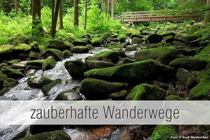 Die Saussbachklamm bietet im Sommer angenehme Kühle.