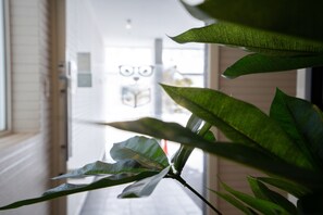 Recepción