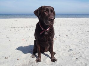 Plage