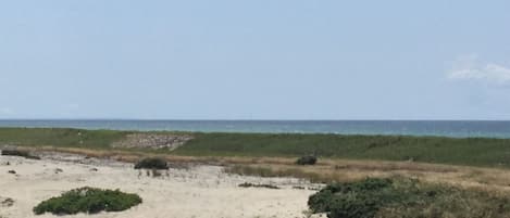 Beach and Dune View from our Beach House