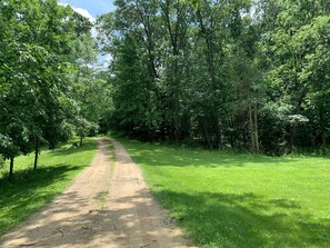 Secluded driveway