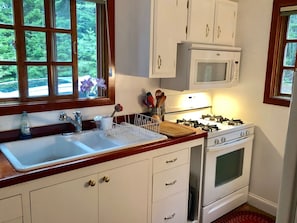 Kitchen with view of forest.