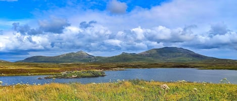 Overnatningsstedets område