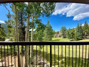 Gorgeous views year round #summer